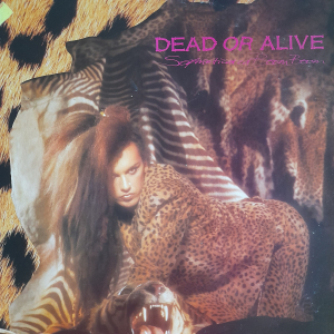 Dead or Alive - Sophisticated Boom Boom
