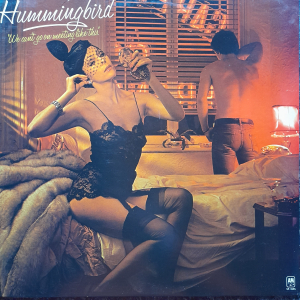 Hummingbird - We cant go on Meeting like this