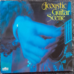 Various - Acoustic Guitar Scene