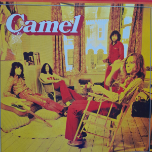 Camel - same