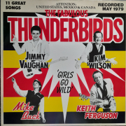 Fabulous Thunderbirds - Girls go wild