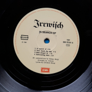 Irrwisch - in search of