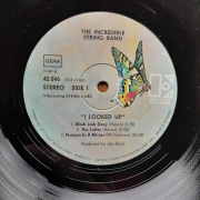 Incredible String Band - I looked up