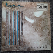 Kajagoogoo - White feathers