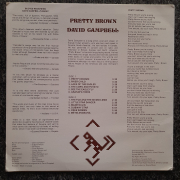 David Campell - Pretty Brown