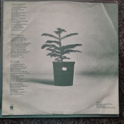 Leo Kottke - Chewing Pine