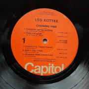 Leo Kottke - Chewing Pine