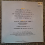 Ronnie Milsap - Back to the Grindstone