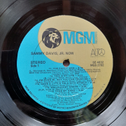 Sammy Davis JR. - Now
