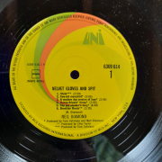 Neil Diamond - Velvet Gloves and Spit