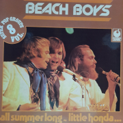 Beach Boys - Super Pop Groups Vol. 8